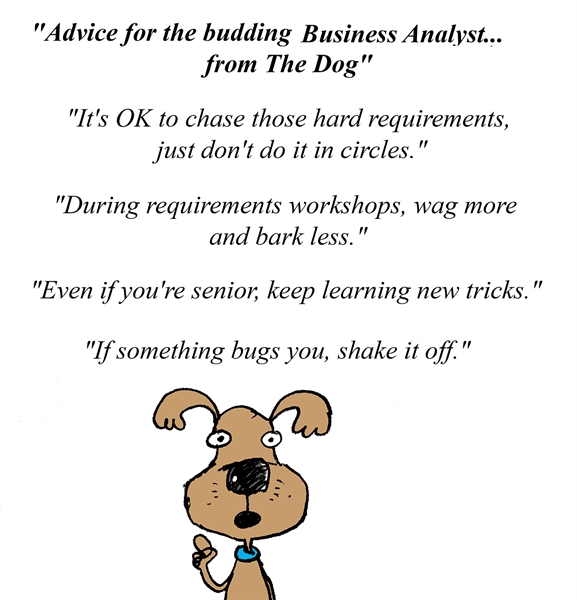 Advice for the budding Business Analyst... from The Dog